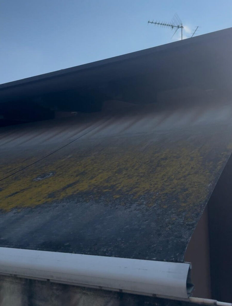 Macchie di muffa sul telo di una tenda da sole vista dall'alto